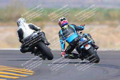 media/Oct-09-2022-SoCal Trackdays (Sun) [[95640aeeb6]]/Turn 14 Backside (1125am)/